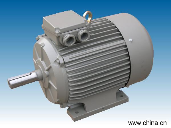 Y2系列三相異步電動(dòng)機(jī)